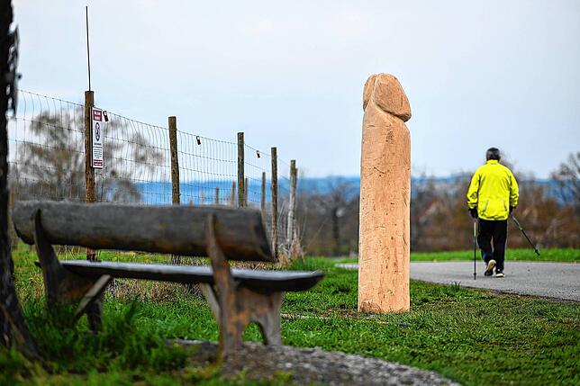 Dieser hölzerne Penis stand auf einer Anhöhe bei Ravensburg-Taldorf – und verschwand so schnell, wie er aufgestellt worden war.