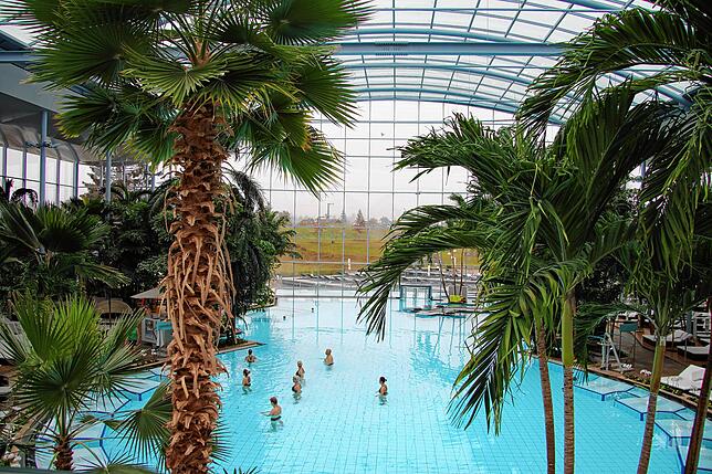 Gebadet werden kann im Badeparadies Schwarzwald in Titisee in verschiedenen Pools, auch unter Palmen.