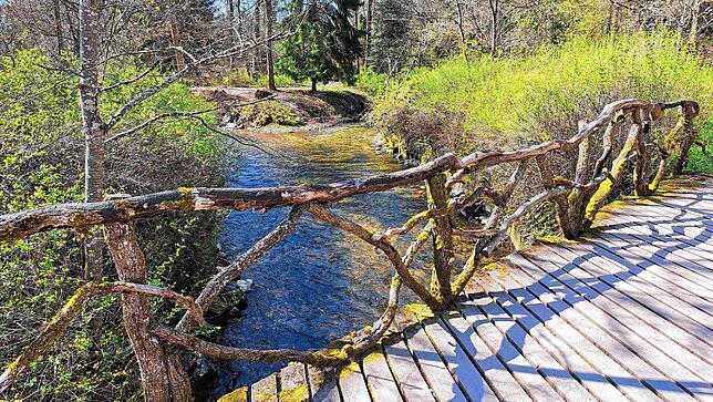 Bild 10: Donaueschingen: So schön ist der Frühling im Schlosspark