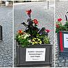 In der Nacht von Pfingstmontag auf Dienstag haben Unbekannte mit Botschaften an Blumenkübel angeklebt.