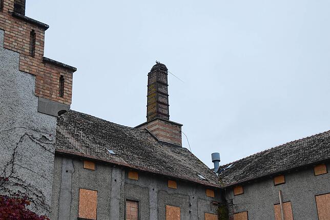 Bild 11: Exklusive Einblicke (1): So sieht die alte Schlossbrauerei in Espasingen rund herum aus