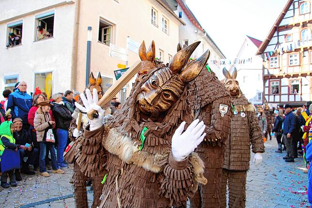 Bild 11: "Komm lass uns fröhlich sein" - Rosenmontag in Meßkirch 2025