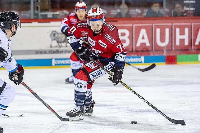 Bild 22: Die Wild Wings siegen wieder in der Deutschen Eishockey-Liga