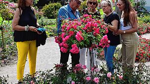 Erich Boll gibt den Gästen gerne Auskunft und teilt sein breites Wissen rund um die Rosen. Diese Damen freuten sich, dass Erich Boll all ...