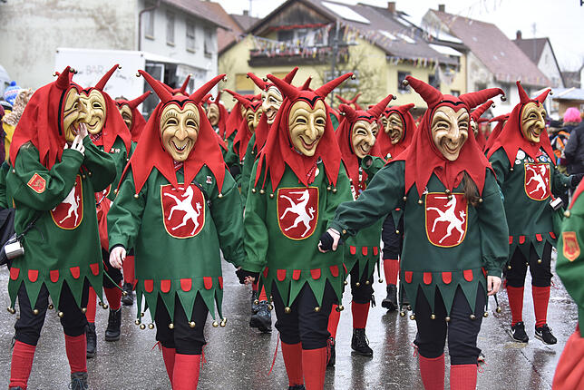 Bild 14: Bilder des großen Umzugs bei den Hattinger Narrentagen