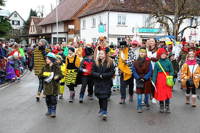 Bild 5: Bilder vom Großen Narrenumzug in Wald (1/2)