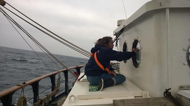 In der täglichen Happy Hour wird die Pelican of London wieder auf Hochglanz gebracht. Auch Nele Haarmann muss tatkräftig mit anpacken.