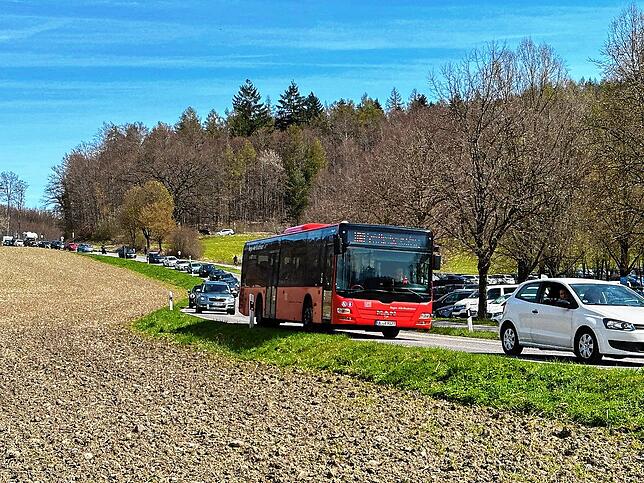 Ein leerer Erlebnisbus am Ostersonntag im Stau kurz vor dem Affenberg in Salem. Weil die Verbindung nicht attraktiv genug ist, reisen ...