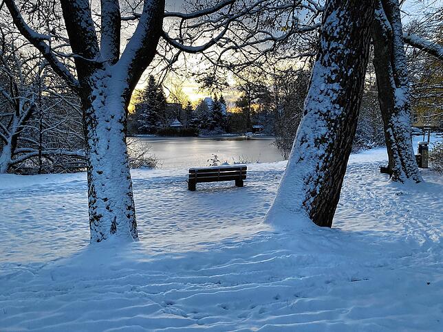 Sogar die Baumstämme am Eisweiher in Villingen sind mit Schnee bedeckt. In der gefrorenen Wasserfläche spiegelt sich die aufgehende Sonne.