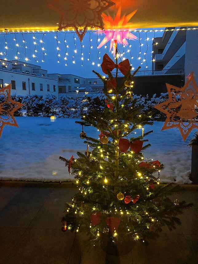 Gudrun Neumann aus Lauchringen schickte diesen Blick vom Wohnzimmer auf die Terrasse. „Wie jedes Jahr steht unser Bäumchen auf der ...