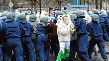 Trotz hartem Kampf ist gegen die Übermacht der rasenden Böcke kein Kraut gewachsen.