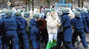 Trotz hartem Kampf ist gegen die Übermacht der rasenden Böcke kein Kraut gewachsen.