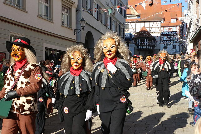 Bild 9: So schön war der Fasnetsmäntig-Umzug in Pfullendorf (4)
