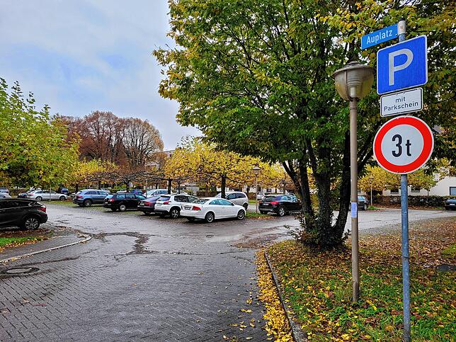 Ein beliebter Ort für Falschparker: Der Auplatz, sagt Scholz. Und nicht nur dort kostet Falschparken auch auf Parkplätzen, die nicht ...