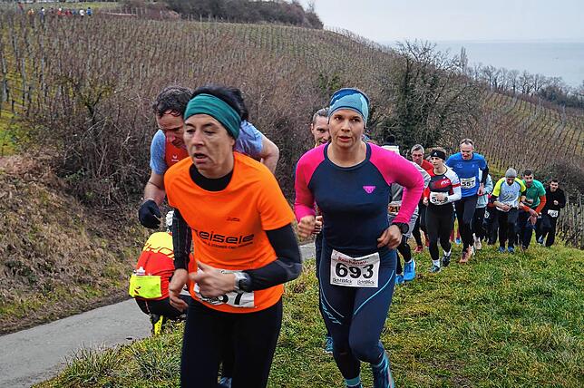 Bild 14: Bilder vom Crosslauf Hegau-Bodensee in den Reben oberhalb der Haltnau