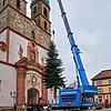 Der städtische Weihnachtsbaum wird in Position gebracht.