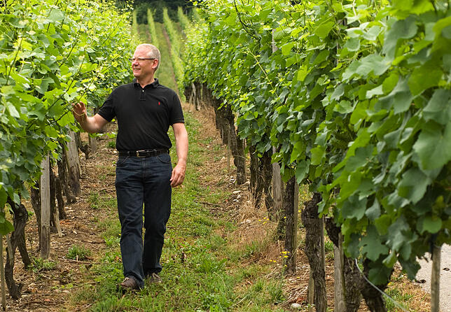 Georg Netzhammer beim Gang über seine Weinberge.