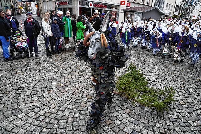 Bild 20: Bilder vom Historischen Umzug am Fasnetmontag in Villingen &ndash; Teil 2