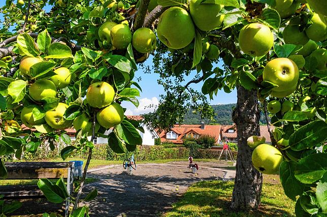 Bild 1: Auf einmal fehlt das Spielgerät: Wie es mit dem Spielplatz Im Löhnen weitergehen soll