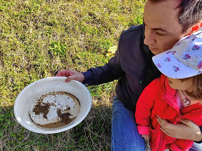 Mit den Arbeitseinsätzen rund um den Krötenzaun sichern sich die Familien in den oberen Bergäckern Eggingen wertvolle Schneckenfresser ...
