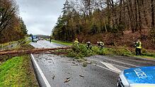 Die Einsatzkräfte sichern die Stelle ab, an der ein Baum auf die Straße gefallen war.