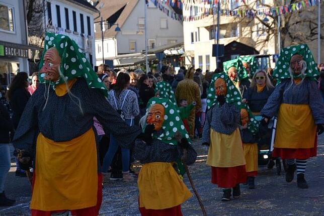 Bild 22: Bilder vom Narrentreffen der Urviecher-Zunft Bad Dürrheim: Großer Festumzug (4)