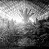Das Palmenhaus im Paradies in seinen Anfangsjahren, 1926 entstand diese Aufnahme. 1923, also vor 100 Jahren, wurde das Haus eröffnet. ...