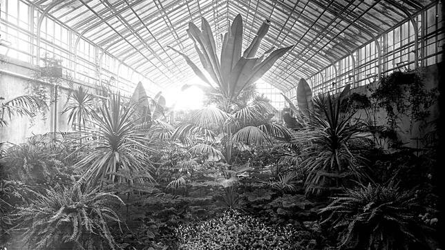 Das Palmenhaus im Paradies in seinen Anfangsjahren, 1926 entstand diese Aufnahme. 1923, also vor 100 Jahren, wurde das Haus eröffnet. ...