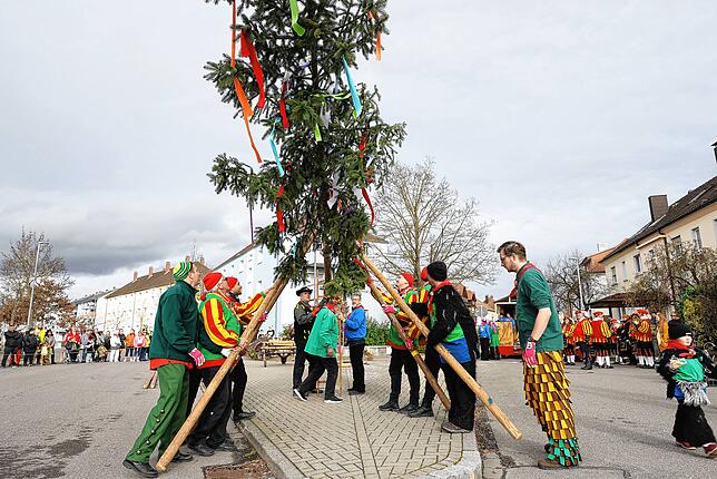 Bild 1: Bilder des Narrenbaumstellens der Froschenzunft Radolfzell
