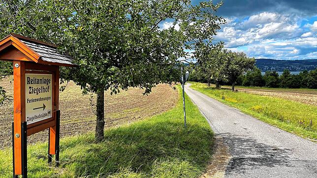 Hier wurde es zu eng für zwei: Eine 55-Jährige landete mit ihrem VW Touran im Graben, weil sie einem entgegenkommenden Wagen ausweichen ...