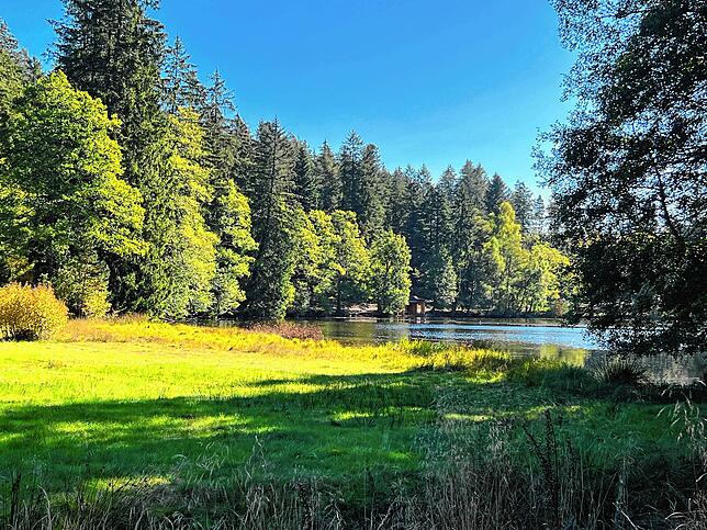 Herbst am Schlüchtsee in Grafenhausen.