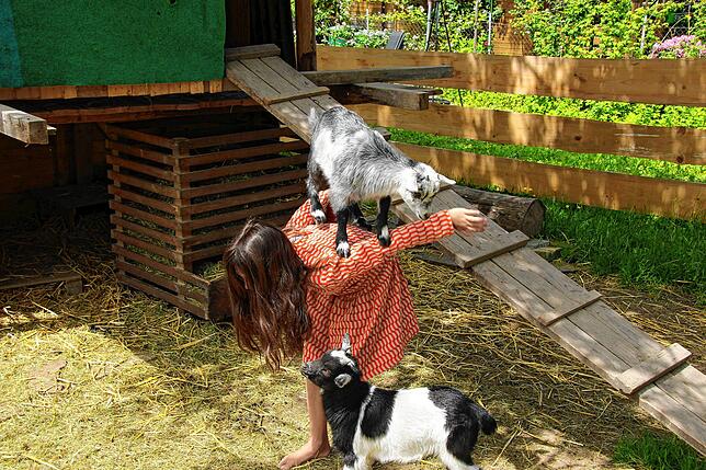Bild 10: Mitten im Konstanzer Stadtteil Paradies gibt es ein kleines Tier-Paradies. Der neueste Bewohner ist Minischwein-Ferkel Rudi.