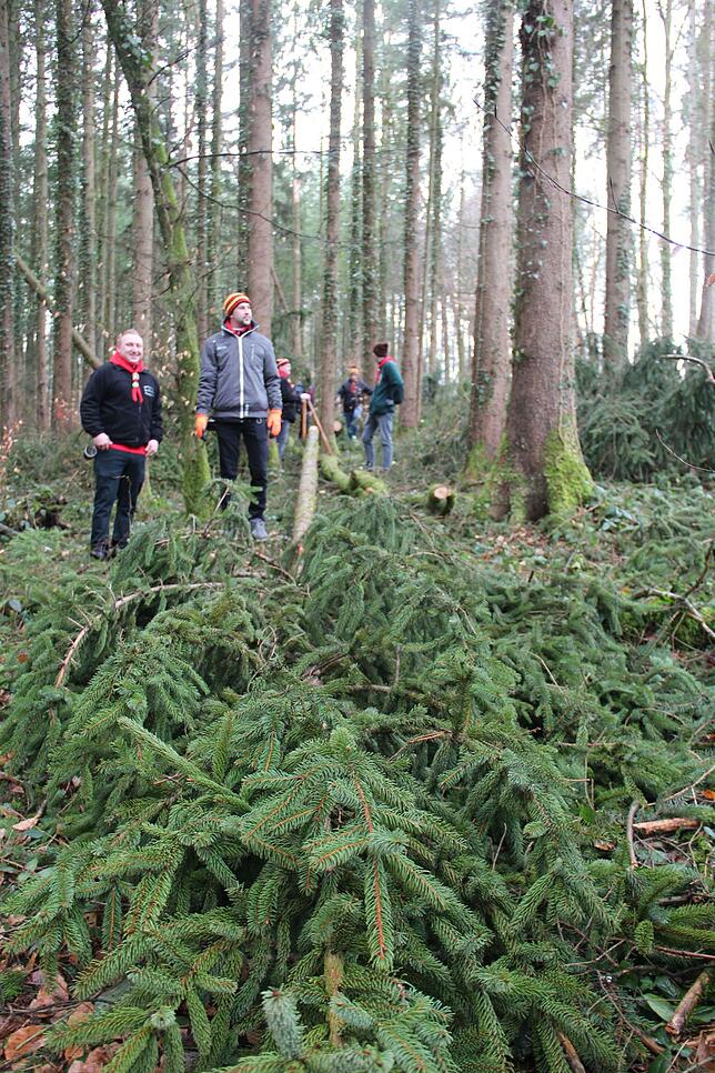 Bild 16: Bilder vom Einholen der Narrenbäume der Narrizella Ratoldi und der Froschenzunft im Altbohlwald