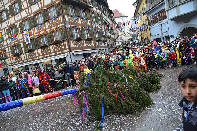 Bild 8: Meersburg im Fasnetsfieber: 1.800 Hästräger ziehen durch die Altstadt – Bilder!