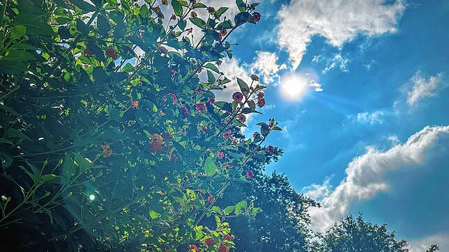Bild 3: So schön ist der Herbst in Stockach: ein Fotospaziergang