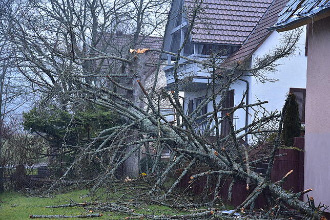 Am Rupertsberg ist dieser Baum abgebrochen und hat dabei ein Hausdach beschädigt.