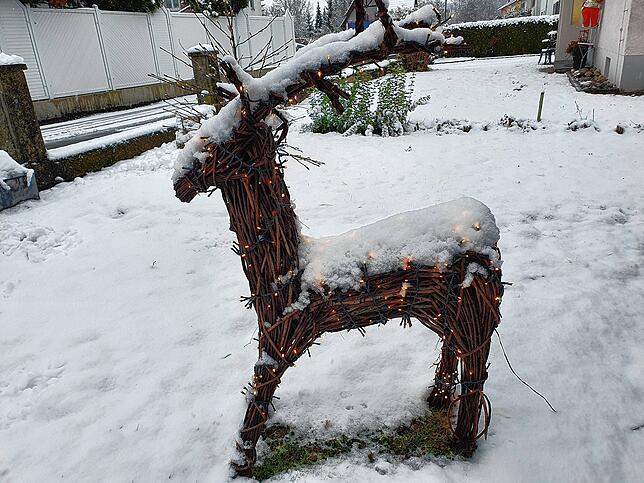 In manchem Garten wurde die Adventsdekoration mit Schnee bedeckt.