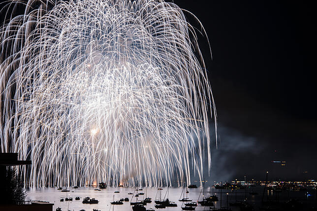 Bild 6: Seenachtfest: Bilder vom großen Feuerwerk