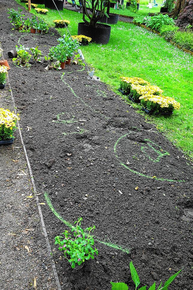 Damit alle Blumen an die richtige Stelle kommen, haben die Gärtner zum Teil den Plan mit farbigen Linien auf die vorbereitete Erde ...