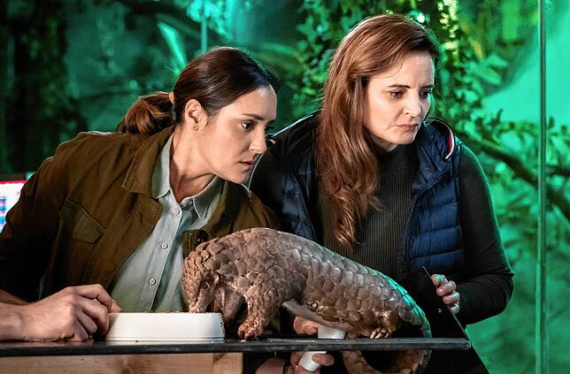 Dr. Susanne Mertens (Elisabeth Lanz, rechts) heuert wieder im Leipziger Zoo an – Cheftierärztin ist dort jetzt Dr. Elif Sahin ...