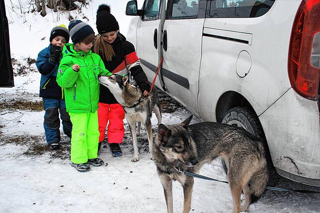 Im Waldhaus Huskycamp in Todtmoos-Schwarzenbach konnten Groß und Klein auf Tuchfühlung mit den Schlittenhunden gehen.