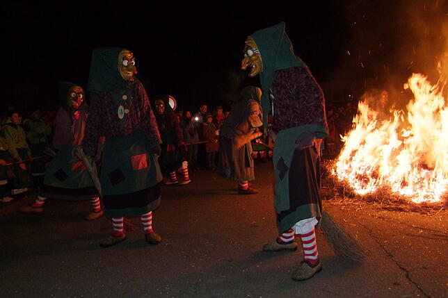 Bild 34: Bilder vom Klettgaunarrentreffen der Narrenzunft Bohnenviertel in Hohentengen a.H. am Samstag, 8. Februar