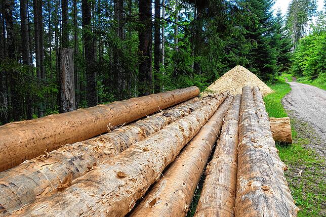 Wenn Stammholz sich partout nicht mehr verkaufen lässt und durch den Borkenkäfer Gefahr im Verzug ist, hilft nur noch Häckseln im Wald.