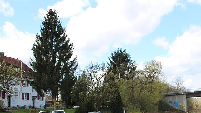 Ein möglicher Standort für ein neues Gottmadinger Flüchtlingsheim könnte dieses Areal an der Hauptstraße in Richtung Bietingen werden. ...