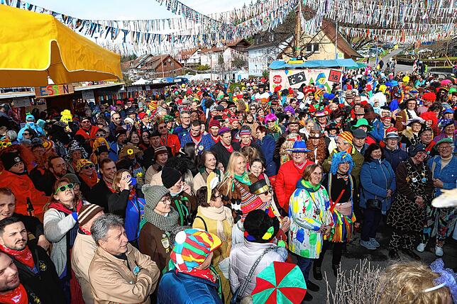 Bild 15: Zahlreiche Fasnachtsbegeisterte schauten beim Johrmarkt in Freudental vorbei!