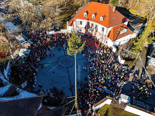 Bild 3: So wird der Narrenbaum am Samstag beim Narrentreffen in Bad Dürrheim aufgestellt!