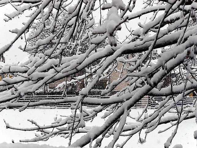 Die Begleiter des Tages: die Schneeschippe. Auch am Abend wird weiterhin geräumt &ndash; ob von Hand oder mit schwerem Gerät.