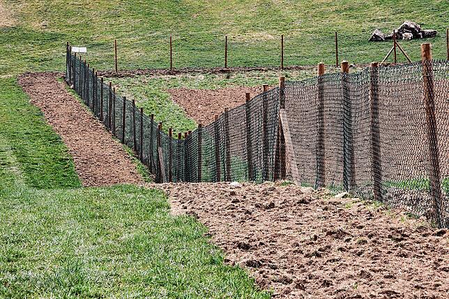 Entlang des Zaunes wird eine Kräuterweise für Wildtiere wachsen.