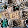 Das Gepäck des Reisenden ist mit Plastikboxen gefüllt, in denen sich lebende Tiere befanden. Unter den Tieren waren neben 16 Schlangen ...