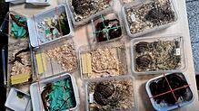 Das Gepäck des Reisenden ist mit Plastikboxen gefüllt, in denen sich lebende Tiere befanden. Unter den Tieren waren neben 16 Schlangen ...